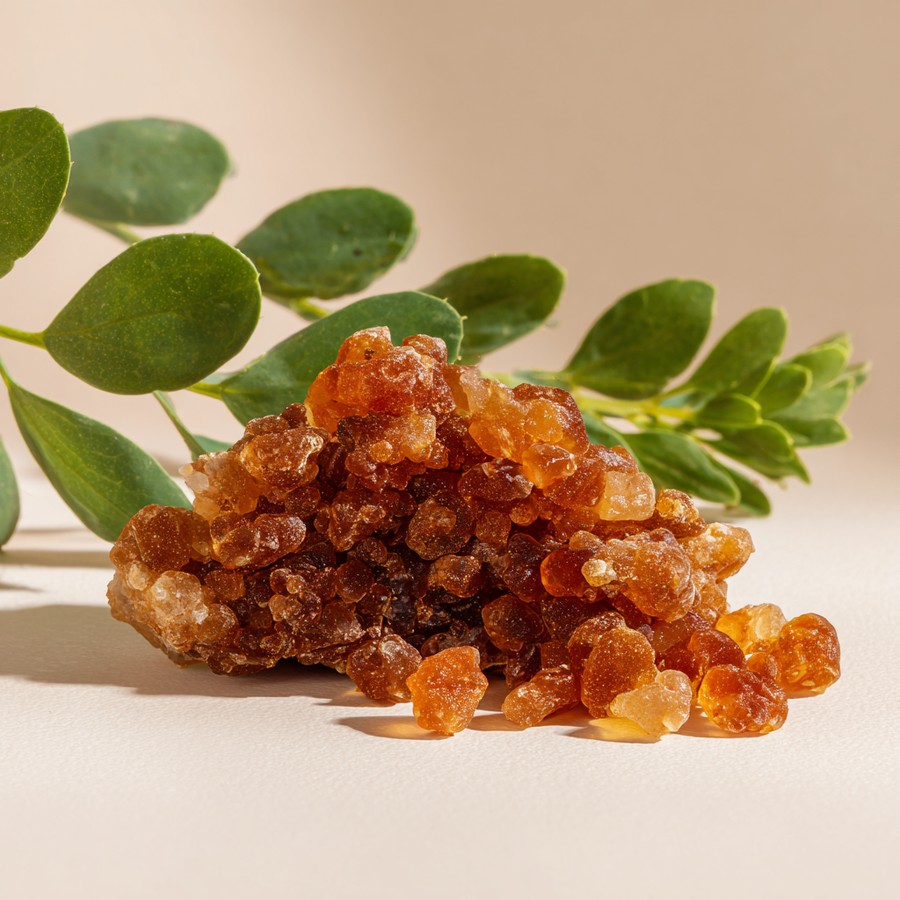 Prebiotic Gum Acacia Powder