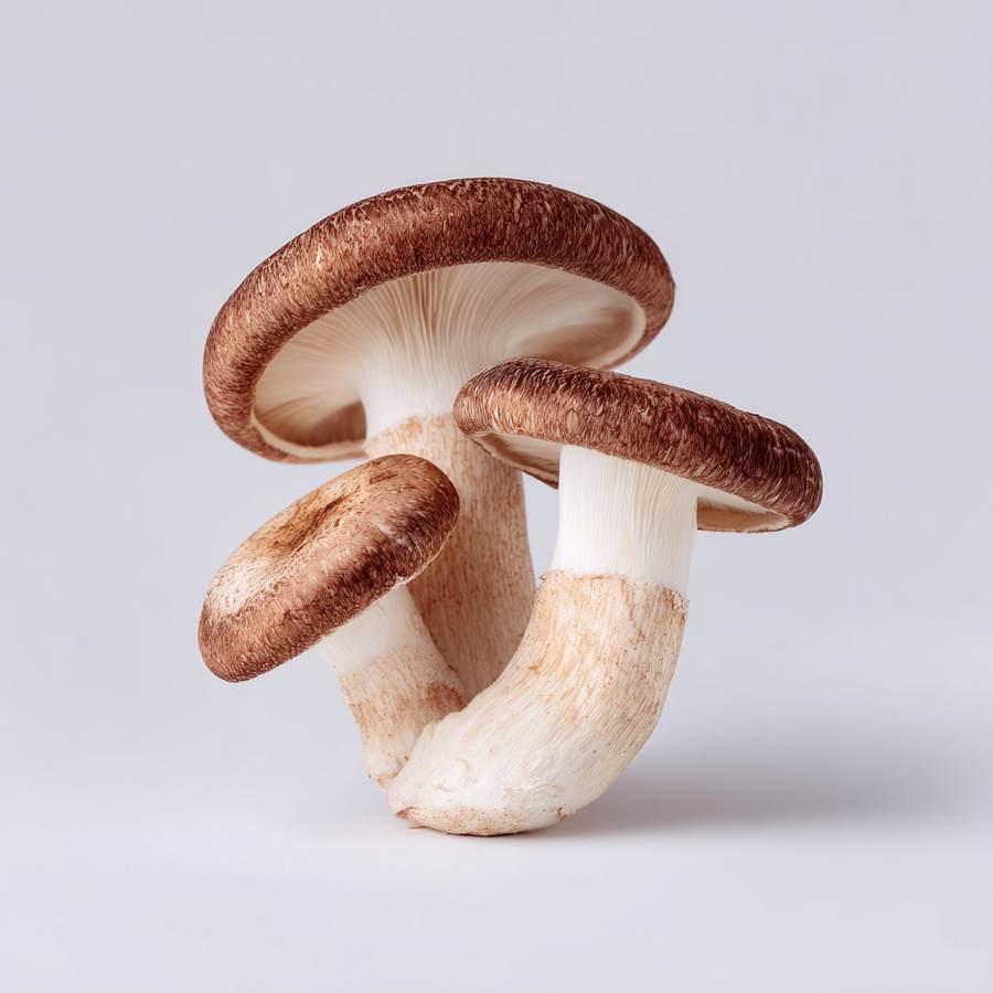 Shiitake Mushroom (Organic)