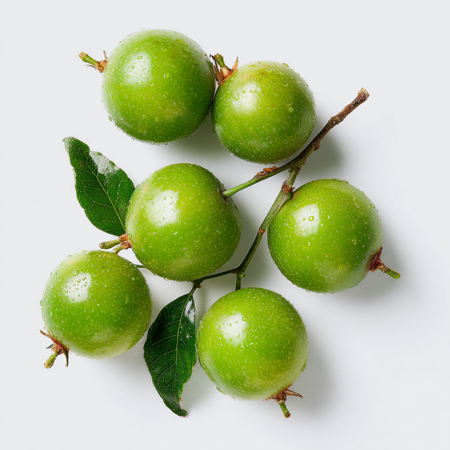 Monk Fruit