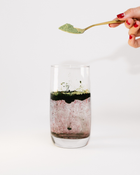 Lúthri Athletic Nutrients - Welcome Kit